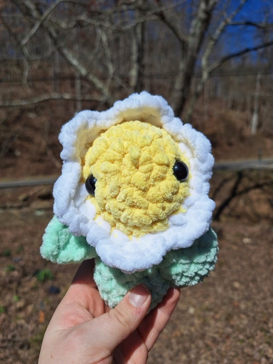 Daisy doll