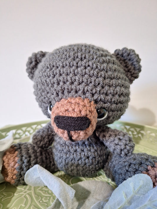 Baby black bear