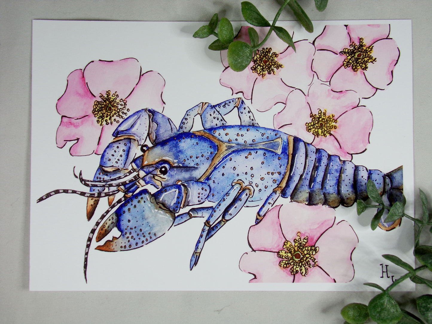 Blue Crayfish + Swamp Roses