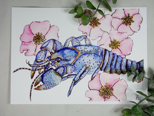 Blue Crayfish + Swamp Roses