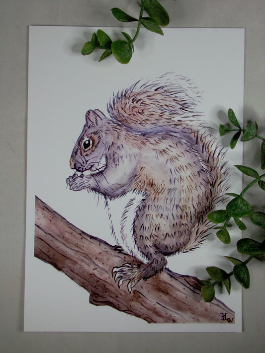 Squirrel Print