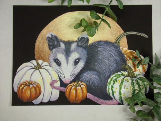 Possum + Pumpkins Print