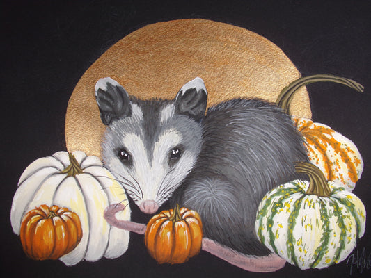 Possum + Pumpkin Original