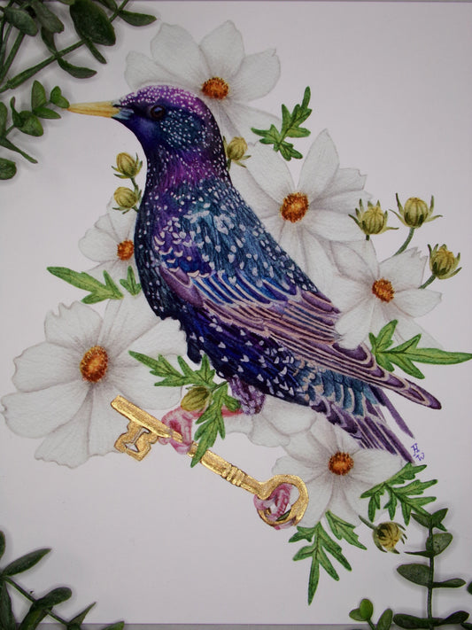 Starling and Cosmos Print