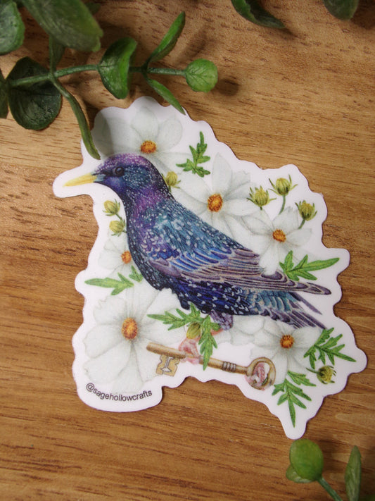 Starling and Cosmos sticker